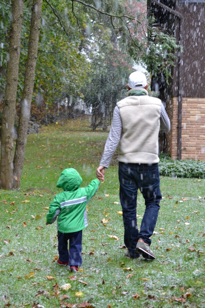 Snowing in Dobbs Ferry